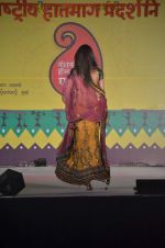 at Handloom fashion show by NIFD in Bandra, Mumbai on 27th Feb 2012 (14).JPG